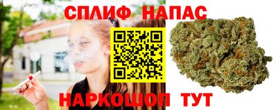 ECSTASY Коммунар