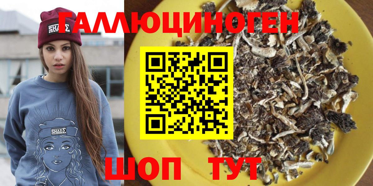 Псилоцибиновые грибы GOLDEN TEACHER Чусовой