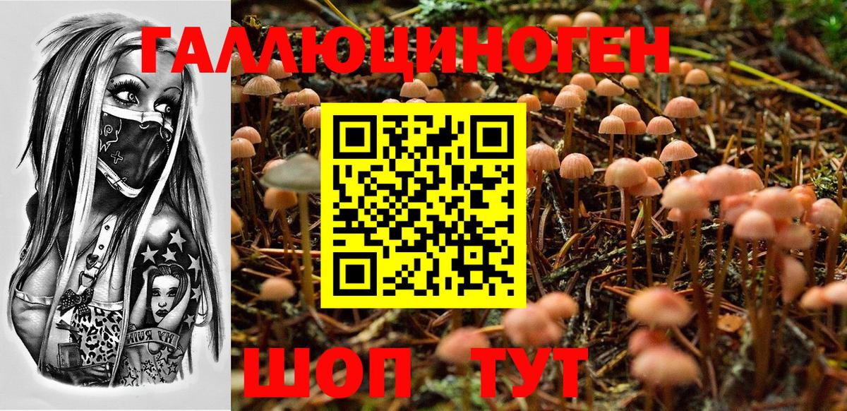 Псилоцибиновые грибы Magic Shrooms  Галлюциногенные грибы прущие грибы  Чусовой  Вход с VPN 